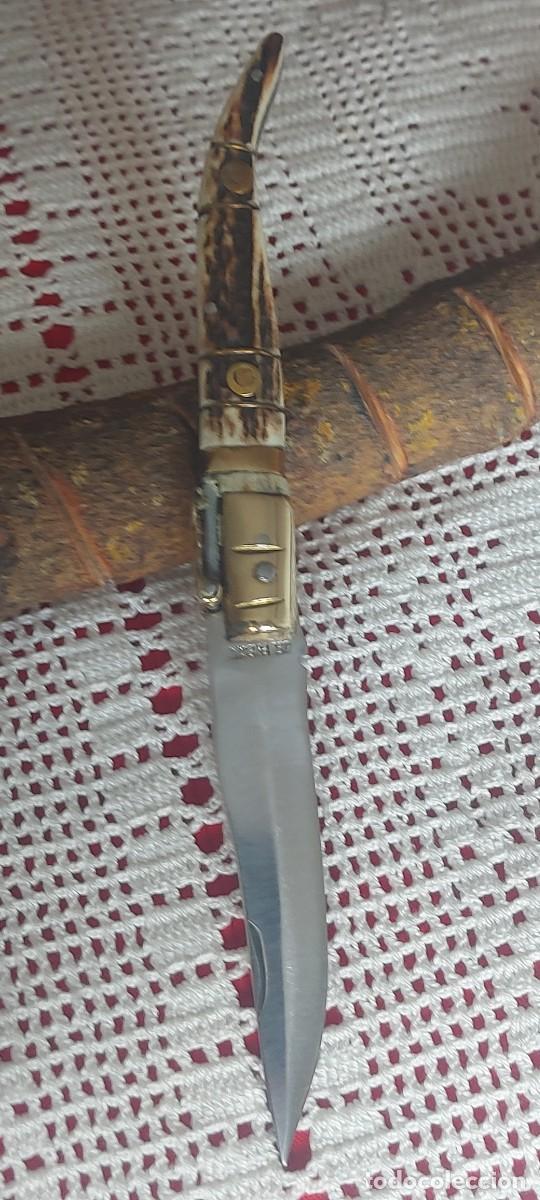 Militaria: Punta de Espada en ciervo - Foto 2