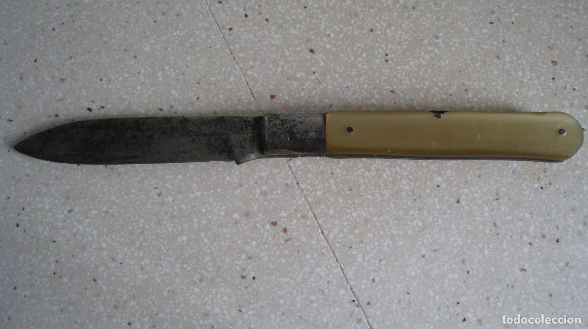 Militaria: Antigua navaja cabritera acero al carbono longitud 21 cmts