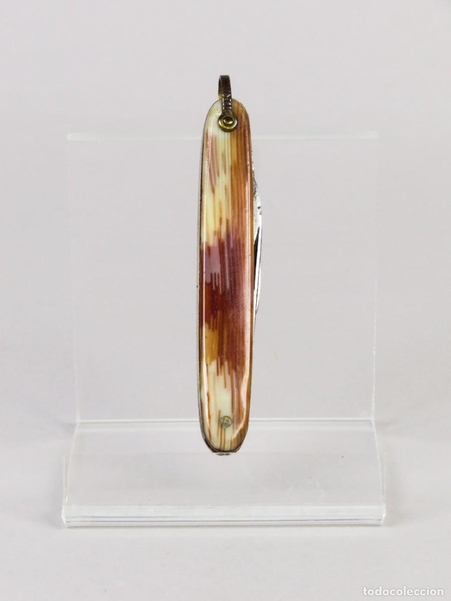 Militaria: Navaja doble uso Ibi Paya de acero inoxidable con cachas de celuloide simulando carey siglo XX