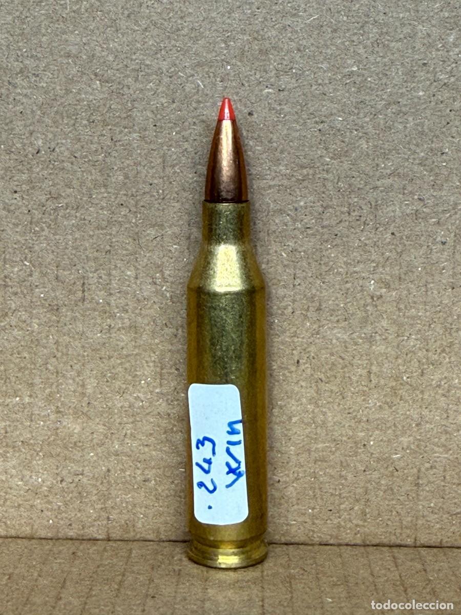 Militaria: .243 WIN calibre deportivo Inerte para colecci&oacute;n.