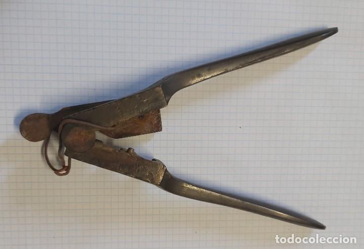 Militaria: Turquesa de lat&oacute;n, 16 cm - Foto 2