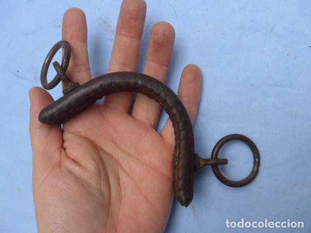 Militaria: ANTIGUO COMPLEMENTO DE CABALLO A IDENTIFICAR - Foto 6