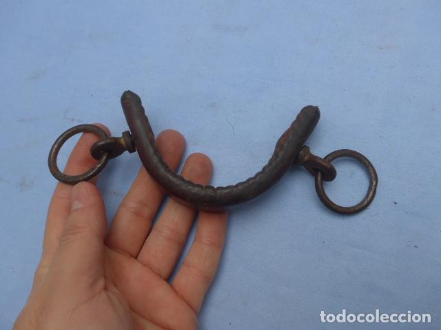 Militaria: ANTIGUO COMPLEMENTO DE CABALLO A IDENTIFICAR - Foto 1