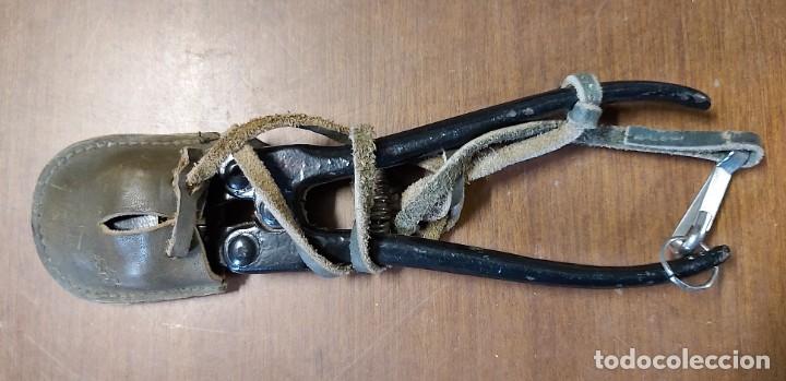 Militaria: Cizalla militar sueca - Foto 2