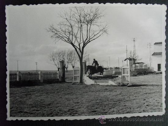 Militaria: ENTRENAMIENTO HIPICO MILITAR SALTOS A&Ntilde;OS 50