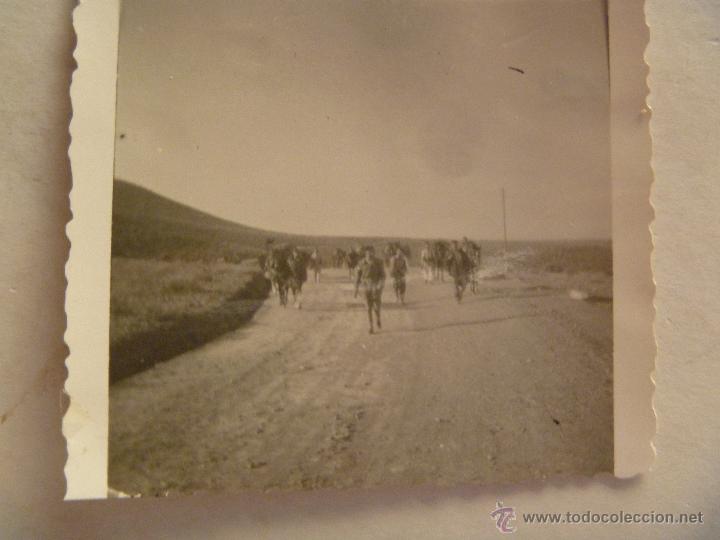 Militaria: SIDI IFNI : FOTO DE MILITARES REGIMIENTO DE REGULARES DE MARCHA CON MULOS