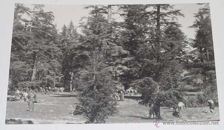 Military Antiques: ANTIGUA FOTO POSTAL DELA ZONA DEL RIF TOMADA POR MILITARES ESPA&Ntilde;OLES DESTINADOS EN LA ZONA DE COMBAT