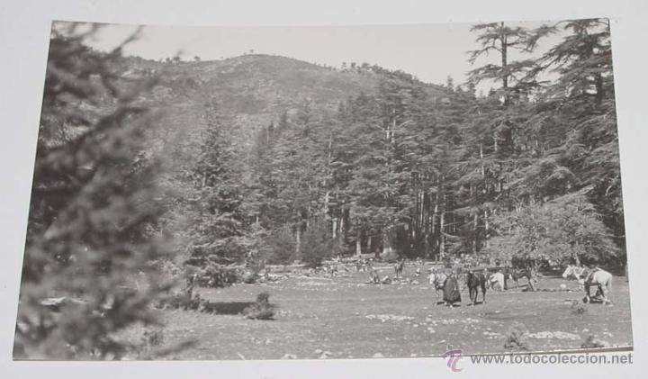 Military Antiques: ANTIGUA FOTO POSTAL DELA ZONA DEL RIF TOMADA POR MILITARES ESPA&Ntilde;OLES DESTINADOS EN LA ZONA DE COMBAT