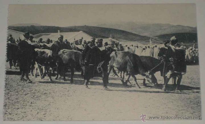 Militaria: ANTIGUA POSTAL DEL VIAJE DE S.S. M.M. A MARRUECOS - REGALO PARA LOS REYES - ED. HAUSER Y MENET - NO