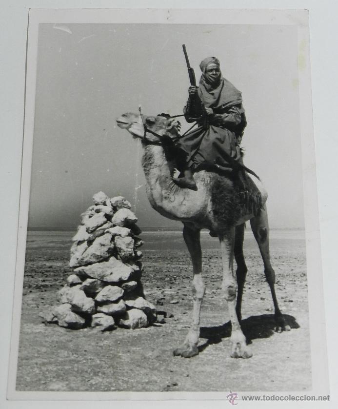 Militaria: ANTIGUA FOTOGRAFIA DE UNA PATRULLA COLONIAL ITALIANA EN EL SAHARA, SUBIDO EN SU CAMELLO, MIDE 18 X 1