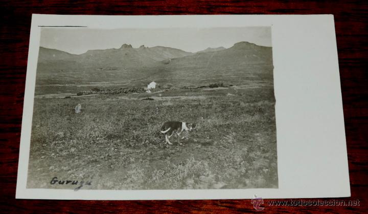 Military Antiques: FOTO POSTAL DEL MONTE GURUGU, ESCRITA POR EL REVERSO EN MONTE AFRA EN 1922 POR UNA SOLDADO ESPA&Ntilde;OL,