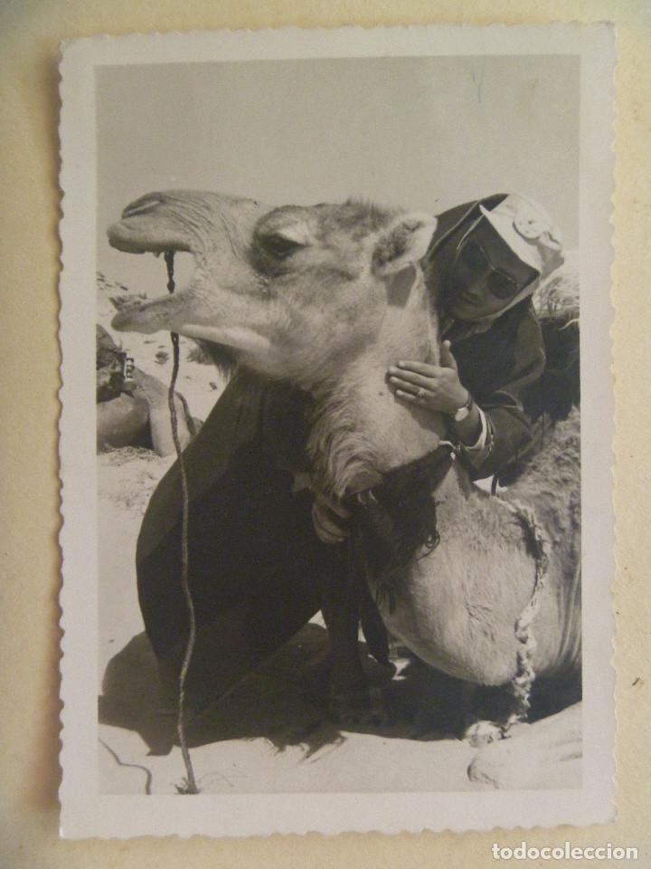 Militaria: TROPAS DE AVIACION DEL SAHARA : TENIENTE CON SIROQUERA Y CHILABA JUNTO A UN CAMELLO