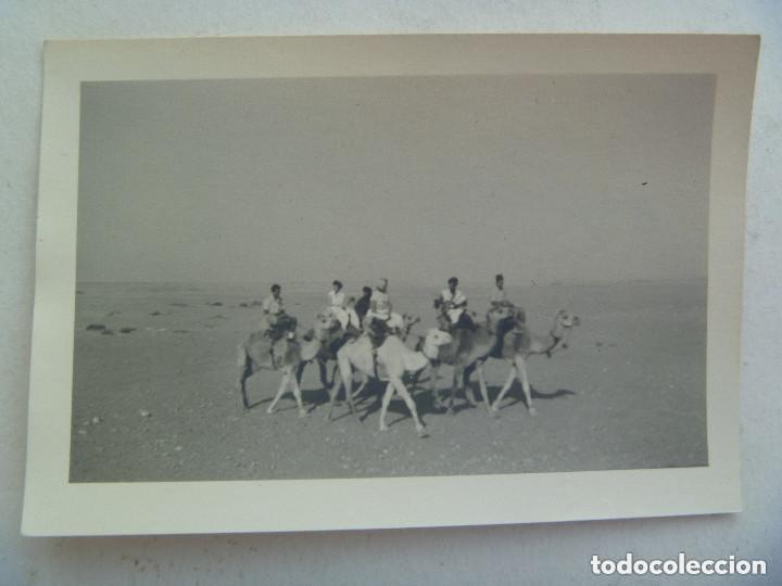 Militaria: SAHARA ESPA&Ntilde;OL  : FOTO DE MILITARES DE TROPAS NOMADAS MONTADOS EN CAMELLO. DE CASA ROS.