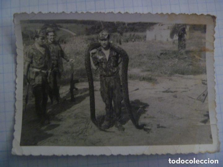 Militaria: GUERRA COLONIAL PORTUGAL : MILITARES PORTUGUESES POSANDO CON CETME Y SERPIENTE GIGANTE