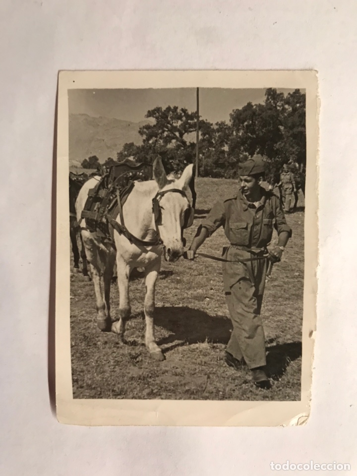 Military Antiques: MILITAR. Montejaque (Ronda) Fotograf&iacute;a Original, Adiestrando el Caballo.. (a.1957)
