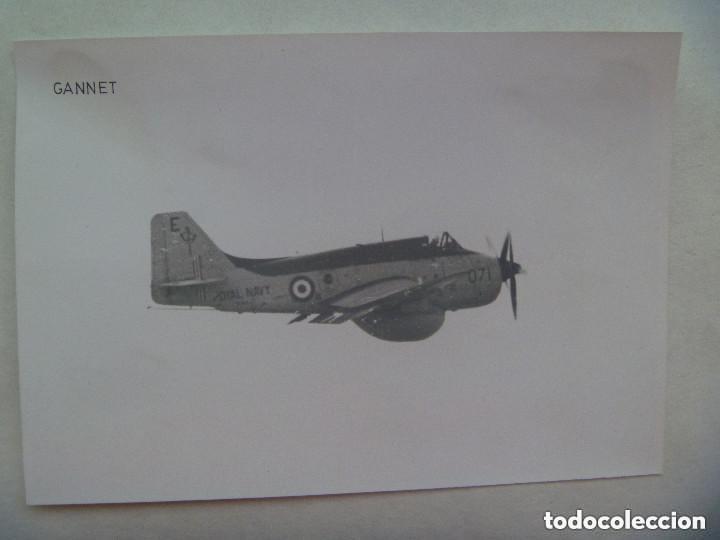 Militaria: FOTO DE UN AVION DE LA ROYAL NAVY : GANNET , EN VUELO