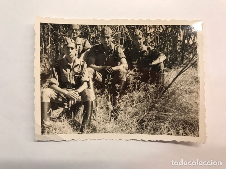Military Antiques: MILITAR. Fotograf&iacute;a. Grupo de militares en el campo (h.1950?) ORIGINAL