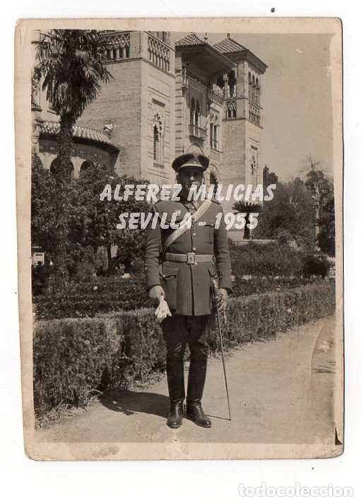 Militaria: ALF&Eacute;REZ. MILICIAS UNIVERSITARIAS. SEU. 1955. SEVILLA.