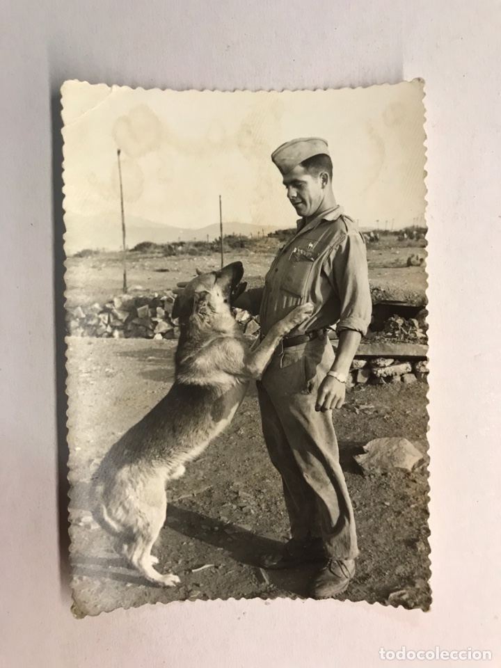 Militaria: MILITAR. Fotograf&iacute;a Original SIDI IFNI. Soldado espa&ntilde;ol con su perro. Verano de 1968