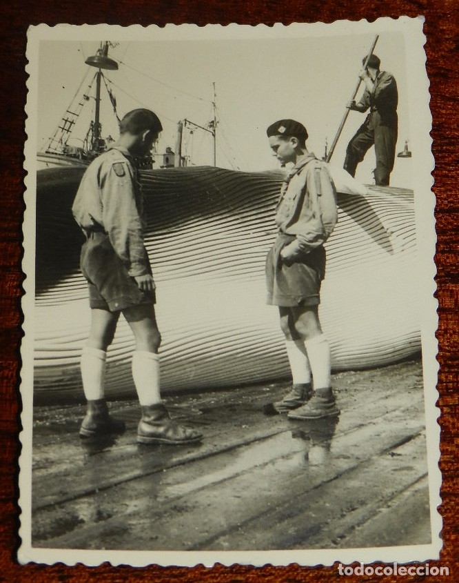 Military Antiques: FOTOGRAFIA DE MIEMBROS DE LA OJE, JUNTO A UNA BALLENA RECIEN PESCADA, EN ALGUN PUERTO PESQUERO ESPA&Ntilde;