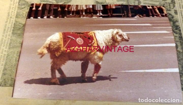 Militaria: ANTIGUA FOTOGRAFIA, MASCOTA MILITAR, LEGION,176X126MM