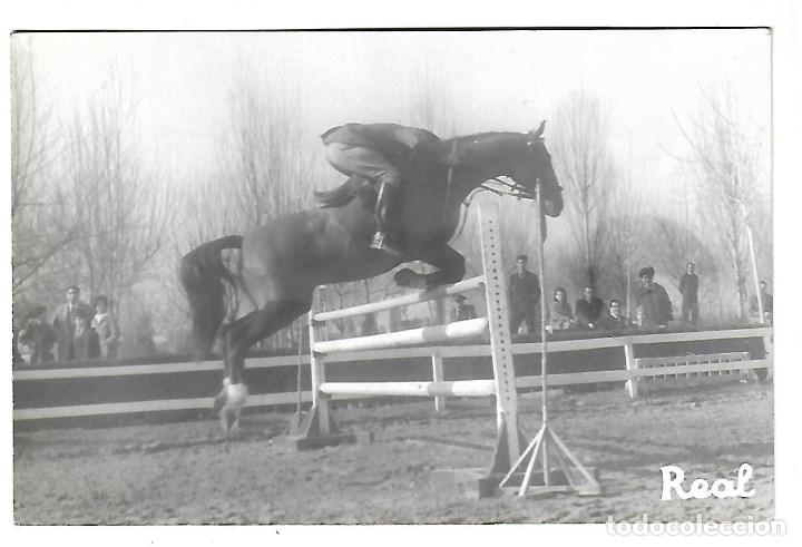 Militaria: AT50- EXTRAORDINARIAS FOTOGRAFIAS DE - CLUB DE CAMPO- CABALLO - BISMARCK - -FOTO 29- 1- 1.961
