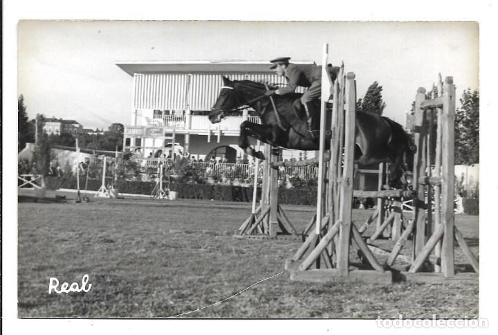 Militaria: AT50- EXTRAORDINARIAS FOTOGRAFIAS DE - CONCURSO DE MADRID- CABALLO -MAGNIFICENCE -FOTO 7- 6- 1.959