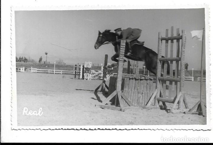 Militaria: AT50- EXTRAORDINARIAS FOTOGRAFIAS DE - CLUB DE CAMPO- CABALLO - MAGNIFICENCE -FOTO 15- 2 - 1.959
