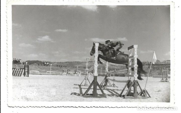 Militaria: AT50- EXTRAORDINARIAS FOTOGRAFIAS DE - CLUB DE CAMPO- CABALLO - MAGNIFICENCE -FOTO- 12- 4 - 1.959