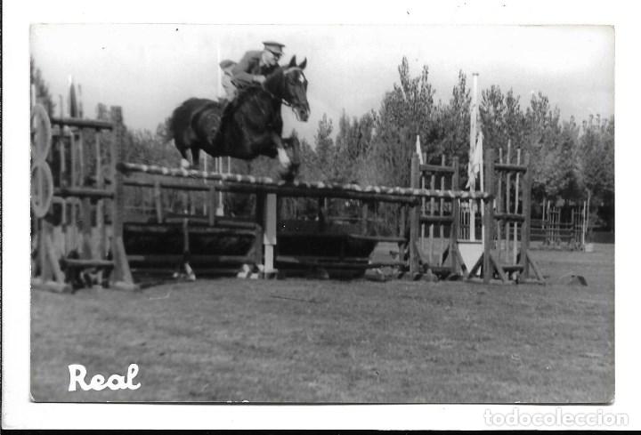Militaria: AT50- EXTRAORDINARIAS FOTOGRAFIAS -CAMPEONATO DE ESPA&Ntilde;A C.CAMPO-CABALLO- BISMARC-FOTO-14- 10 -1.961