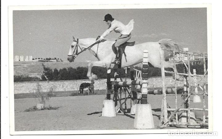 Militaria: AT50- EXTRAORDINARIAS FOTOGRAFIAS - CLUB DE .CAMPO-CABALLO- GLOSINA -FOTO-10- 5 -1.949