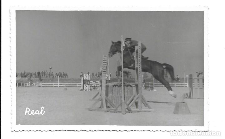 Militaria: AT50- EXTRAORDINARIAS FOTOGRAFIAS - CLUB DE CAMPO  -CABALLO- BISMARCK -FOTO- 22- 2 -1.959