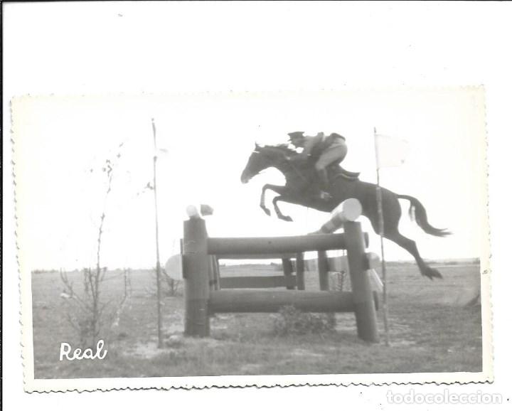 Militaria: AT50- EXTRAORDINARIAS FOTOGRAFIAS-CONCURSO COMPLETO CROSS-CABALLO-MAGNIFICENCE  -FOTO- 23- 4 -1.959