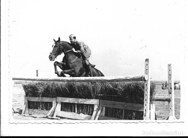 Militaria: AT50- EXTRAORDINARIAS FOTOGRAFIAS- ACADEMIA INFANTERIA-CABALLO- DADILO-FOTO-  -1.954
