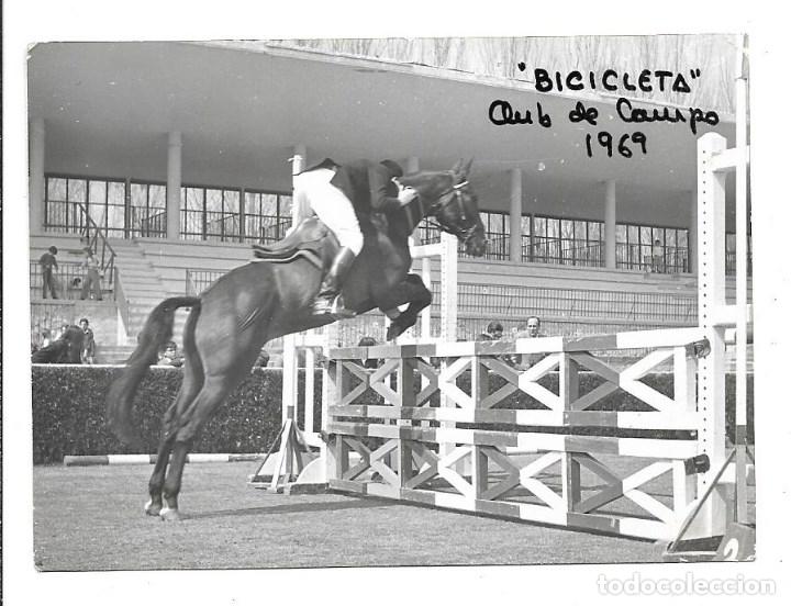 Militaria: AT50- EXTRAORDINARIAS FOTOGRAFIAS- C. CAMPO PISTA VERDE-CABALLO-  BICICLETA -FOTO- 30- 3 -1.969