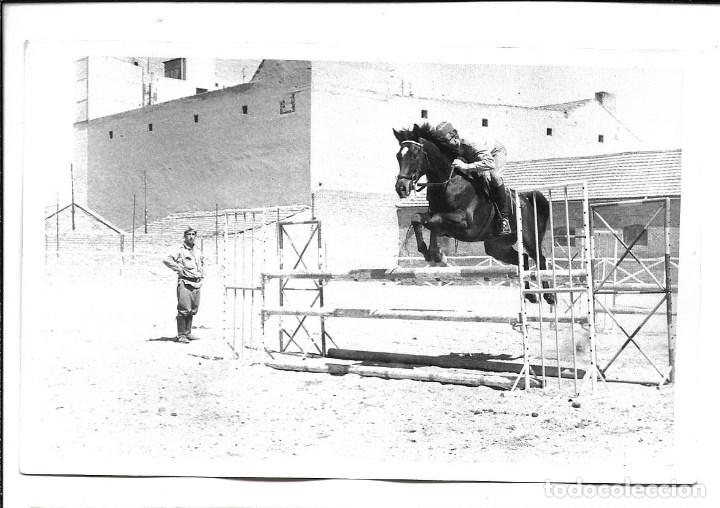 Militaria: AT50- EXTRAORDINARIAS FOTOGRAFIAS-  ENTRENANDO -CABALLO-   -FOTO-REAL- COLO.MANZANARES- 9- 5-1.973
