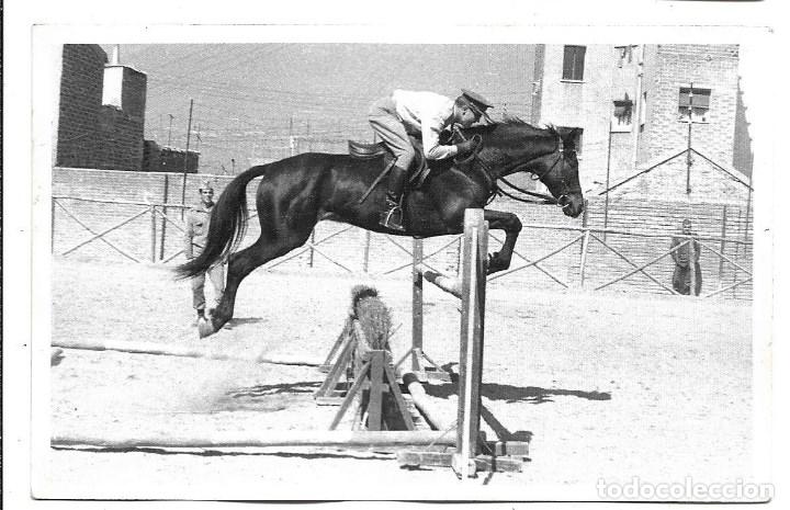 Militaria: AT50- EXTRAORDINARIAS FOTOGRAFIAS- ENTRENANDO -CABALLO- -FOTO-REAL- COLO.MANZANARES- 5- 4-1.973