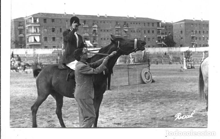 Militaria: AT50- EXTRAORDINARIAS FOTOGRAFIAS- ENTRENAMIENTO DE CABALLO -FOTO- - 9 - 6 -  1.964