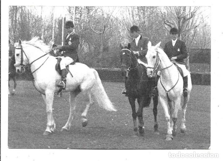 Militaria: AT50- EXTRAORDINARIAS FOTOGRAFIAS- EQUIPO CAMPEON DE ESPA&Ntilde;A - C. DE CAMPO -FOTO- ABRIL de 1.969