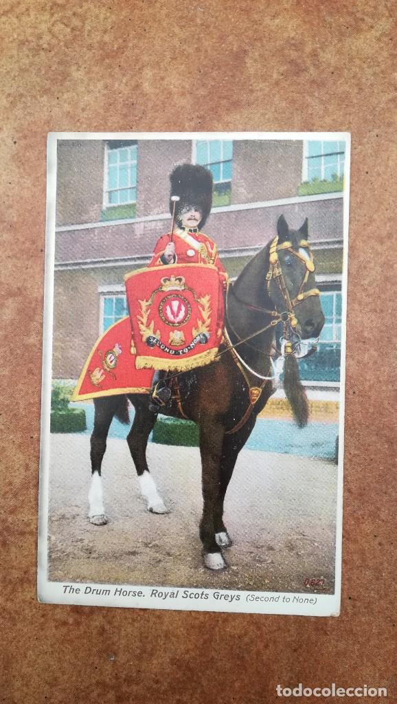 Militaria: POSTAL MILITAR THE DRUM HORSE ROYAL SCOTS GREYS
