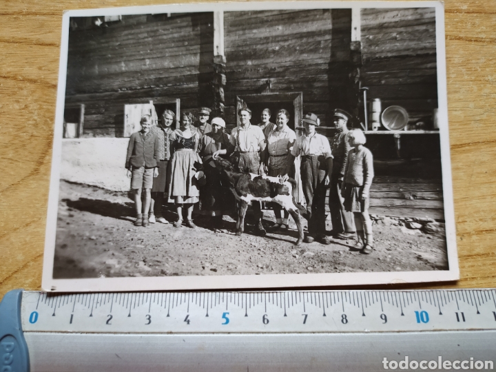 Militaria: Fotograf&iacute;a segunda guerra mundial - familia y soldados posando con vaca