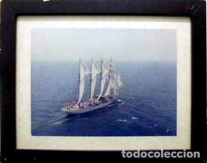 Militaria: FOTOGRAFIA DE EL VELERO JUAN SEBASTIAN DE ELCANO ENMARCADA CON CRISTAL - CUADRO-209