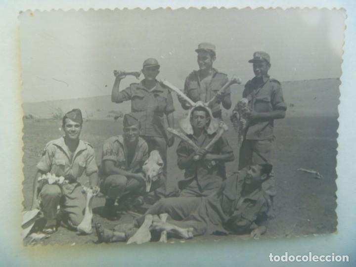 Militaria: LA LEGION : FOTO DE LEGIONARIOS CON HUESOS DE CAMELLO. SAHARA