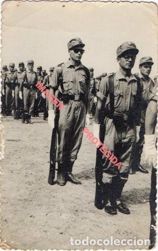 Militaria: ANTIGUA FOTOGRAFIA, TROPAS ESPA&Ntilde;OLAS EN SIDI IFNI, 85X135MM