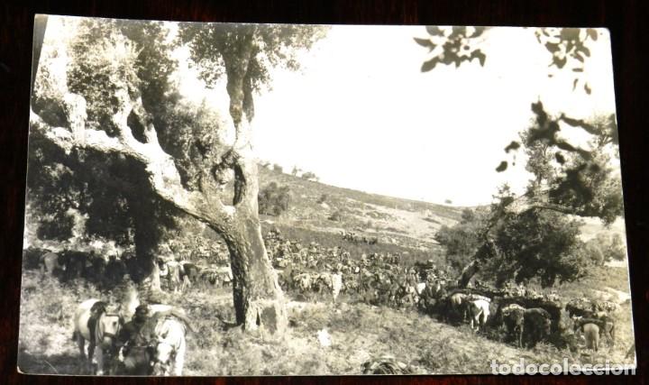 Militaria: FOTOGRAFIA DE GRUPO DESCANSANDO, ZOCO DEL JEMIS DE BENI DRAR, 22 DE SEPTIEMBRE DE 1932, TAMA&Ntilde;O POSTA