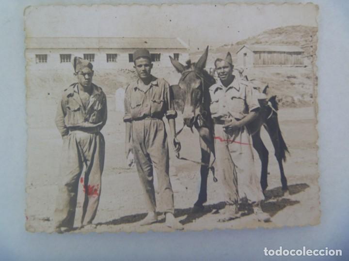 Militaria: TROPAS DE AFRICA - PROTECTORADO: FOTO DE LEGIONARIOS Y REGULARES CON MULO. TELATA, 1950