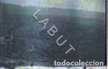 Militaria: TENIENTE DIVISI&Oacute;N AZUL CRUZ DE HIERRO NEGATIVO FOTOGRAFIA ALCAL&Aacute; DE GUADAIRA REGTO 269 C31