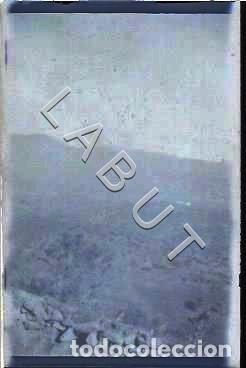 Militaria: TENIENTE DIVISI&Oacute;N AZUL CRUZ DE HIERRO NEGATIVO FOTOGRAFIA ALCAL&Aacute; DE GUADAIRA REGTO 269 C31