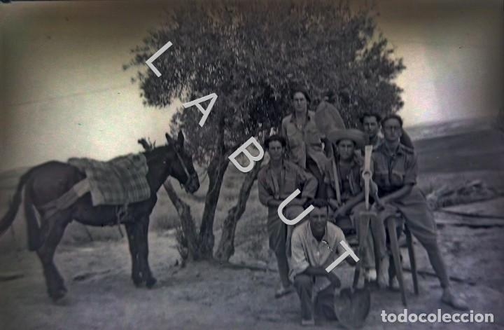 Militaria: TENIENTE DIVISI&Oacute;N AZUL CRUZ DE HIERRO NEGATIVO FOTOGRAFIA ALCAL&Aacute; DE GUADAIRA REGTO 269 C36