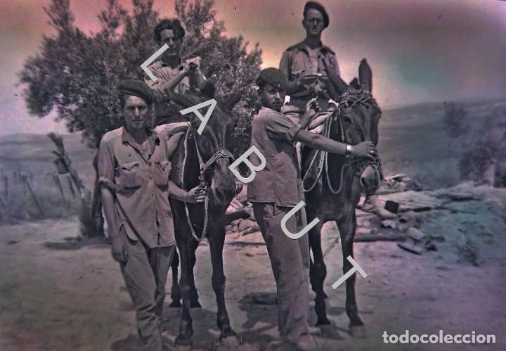 Militaria: TENIENTE DIVISI&Oacute;N AZUL NEGATIVO FOTOGRAFIA ALCAL&Aacute; DE GUADAIRA REGTO 269 C41